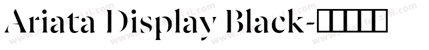 Ariata Display Black字体转换